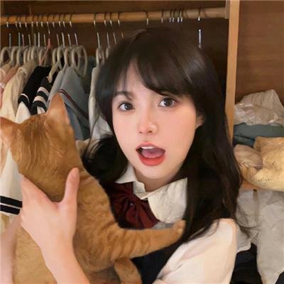 狐狸禁猎期